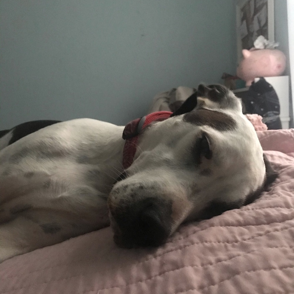 Meet your Posher, Hailey